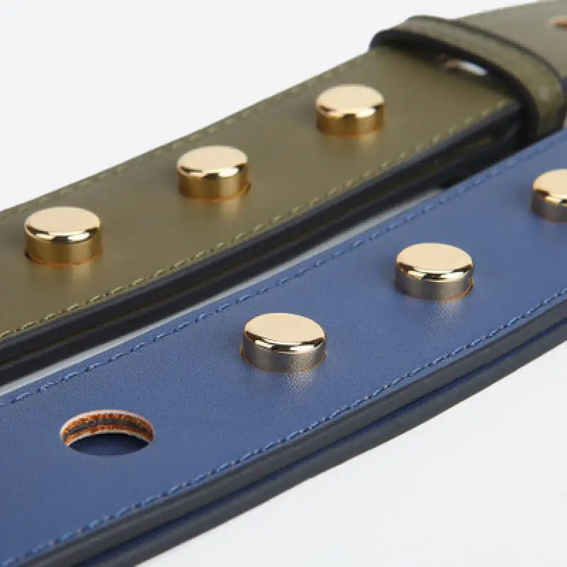 High Quality Pu Leather Wide Shoulder Bag Strap Solid Color Adjustable Rivet Handbag Belt Luxury Brand accessories for bags part
High Quality Pu Leather Wide Shoulder Bag Strap Solid Color Adjustable Rivet Handbag Belt Luxury Brand accessories for bags part