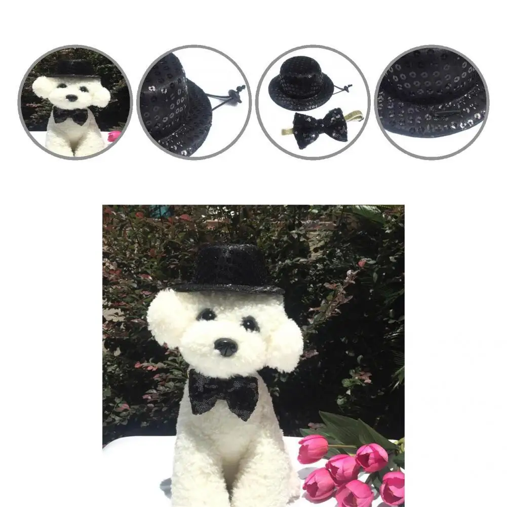 Casual Kitten Hat Handsome Universal Cats Dogs Bucket Hat Bow Tie Kit Pet Cap Pet Hat 2Pcs/Set
Casual Kitten Hat Handsome Universal Cats Dogs Bucket Hat Bow Tie Kit Pet Cap Pet Hat 2Pcs/Set