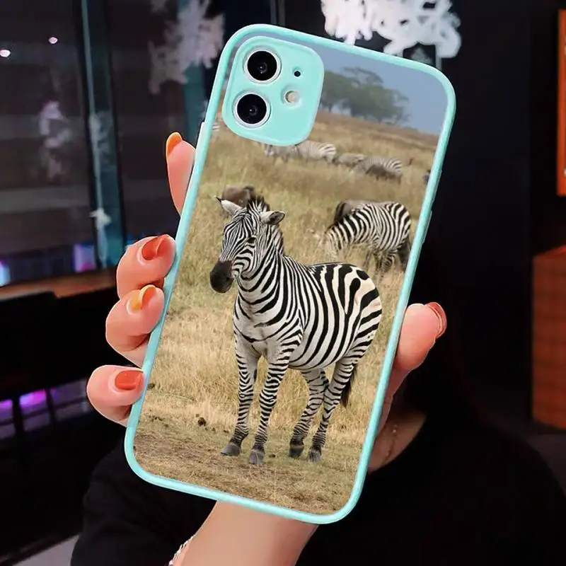Animal zebra Phone Case For iPhone 12 11 Mini Pro XR XS Max 7 8 Plus X Matte transparent blue Back Cover
Animal zebra Phone Case For iPhone 12 11 Mini Pro XR XS Max 7 8 Plus X Matte transparent blue Back Cover