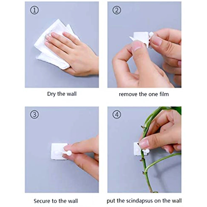 Plant Climbing Wall Fixing Clip, Support Clip, Home Decoration (Large: 40PCS, Middle: 40PCS, Small: 20PCS)
Plant Climbing Wall Fixing Clip, Support Clip, Home Decoration (Large: 40PCS, Middle: 40PCS, Small: 20PCS)