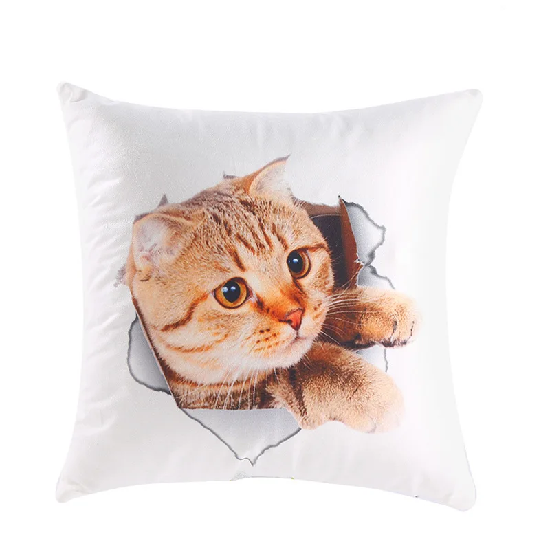 Case Automobile Cushion Cover Kitty Home Lovely Pillow Cover Originality Cartoon Back Cushion Cover Pillow Case
Case Automobile Cushion Cover Kitty Home Lovely Pillow Cover Originality Cartoon Back Cushion Cover Pillow Case