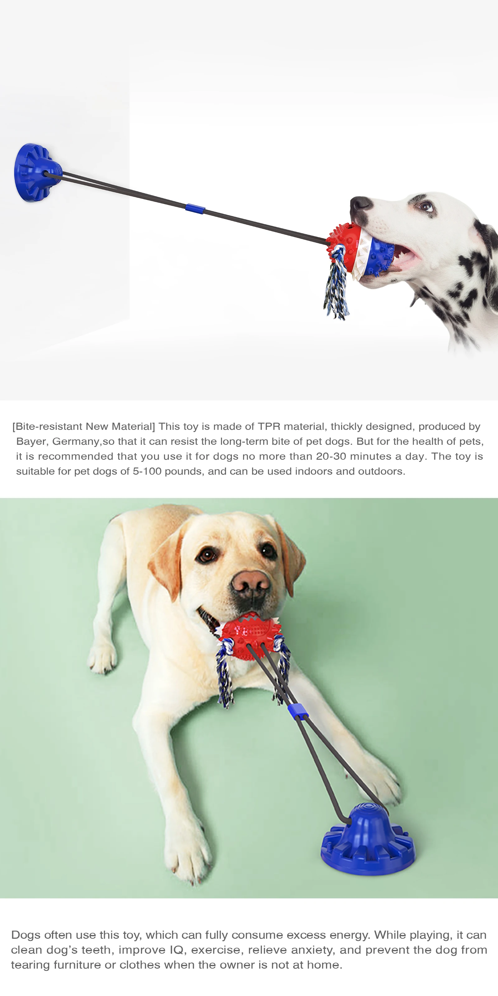 Dog Toy Silicon Suction Cup Tug Interactive Dog Ball Toys For Pet Chew Bite Tooth Cleaning Toothbrush Feeding Pet Supplies
Dog Toy Silicon Suction Cup Tug Interactive Dog Ball Toys For Pet Chew Bite Tooth Cleaning Toothbrush Feeding Pet Supplies