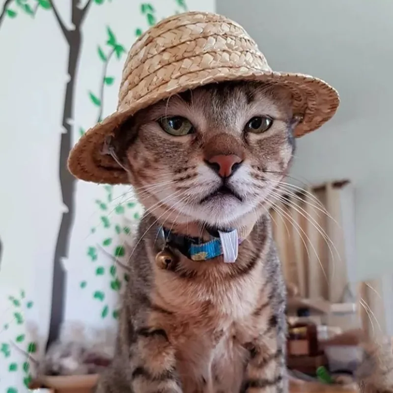 Летняя модная шляпа для кошек и собак, соломенная шляпа для косплея, шляпа от солнца для домашних животных, шляпа сомбреро ручной работы, сол...
Летняя модная шляпа для кошек и собак, соломенная шляпа для косплея, шляпа от солнца для домашних животных, шляпа сомбреро ручной работы, сол...
