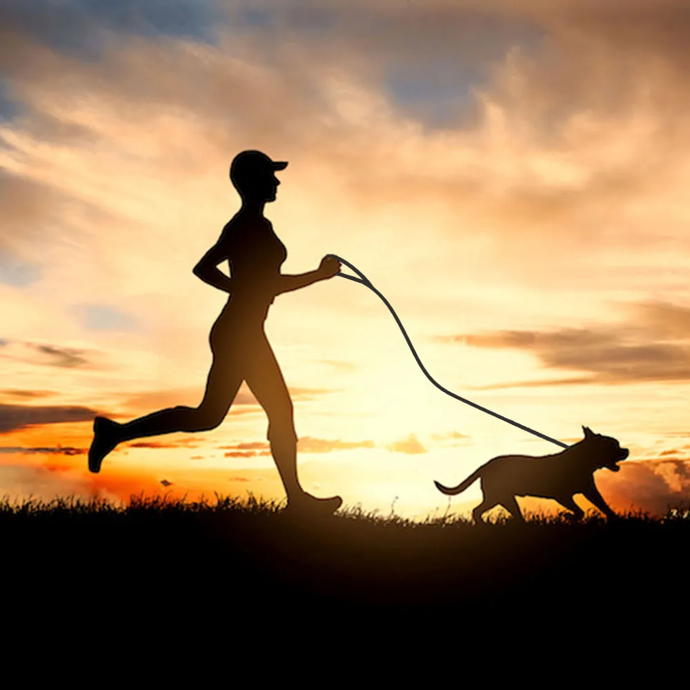 Bungee Dog Leash Stretch Reflective Adjustable Training Walking Lead Leash Lmproved Dog Safety Comfort for Medium Large Dogs
Bungee Dog Leash Stretch Reflective Adjustable Training Walking Lead Leash Lmproved Dog Safety Comfort for Medium Large Dogs