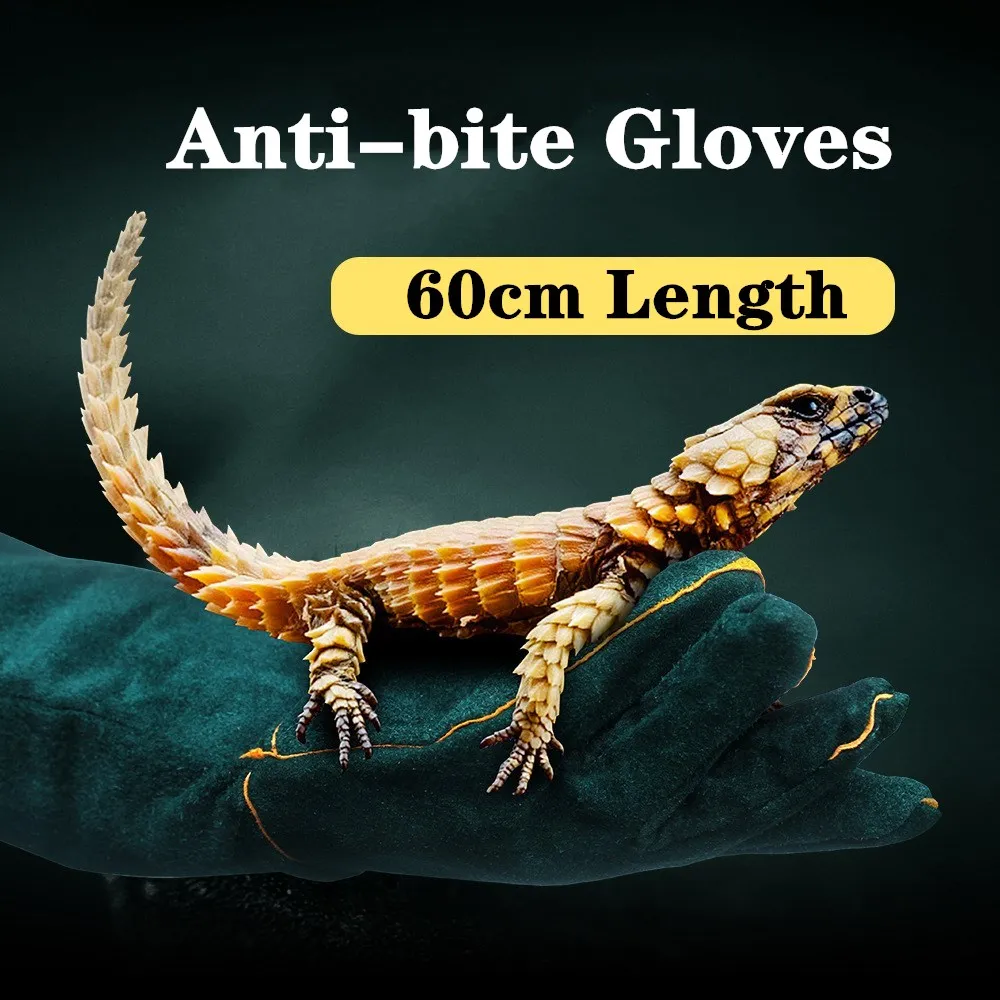 

23.6In Animal Handling Gloves Bite Proof Reinforced Leather Padding For Dog Cat Scratch Bird Handling Gloves Reptile Snake Bite