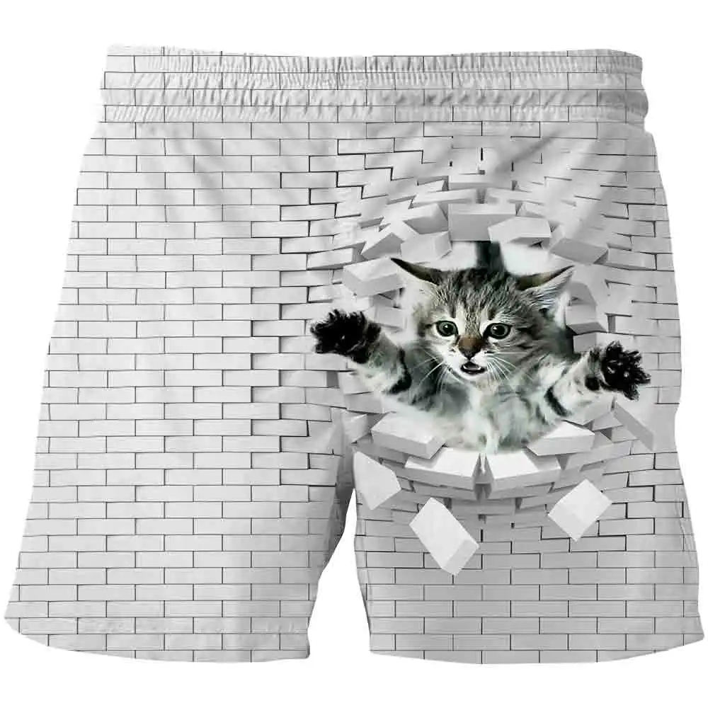2021 New Summer Fashion Beach 3D Boys Girls Print Shorts children animal Cat Pattern Funny Shorts Casual 4-14 Years
2021 New Summer Fashion Beach 3D Boys Girls Print Shorts children animal Cat Pattern Funny Shorts Casual 4-14 Years