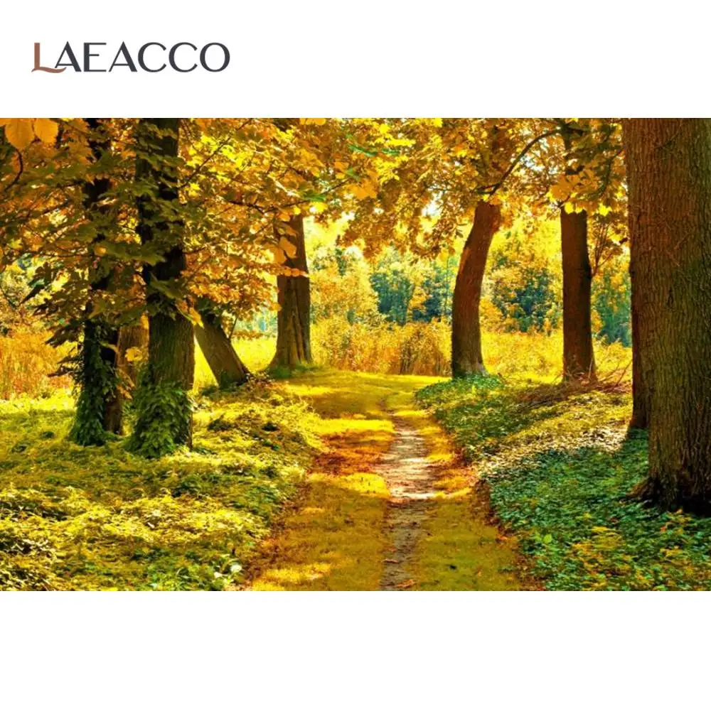 Laeacco Rural Village Autumn Tree Yellow Grass Pathway Road Scenic View Photographic Background Photo Backdrop For Photo Studio
Laeacco Rural Village Autumn Tree Yellow Grass Pathway Road Scenic View Photographic Background Photo Backdrop For Photo Studio