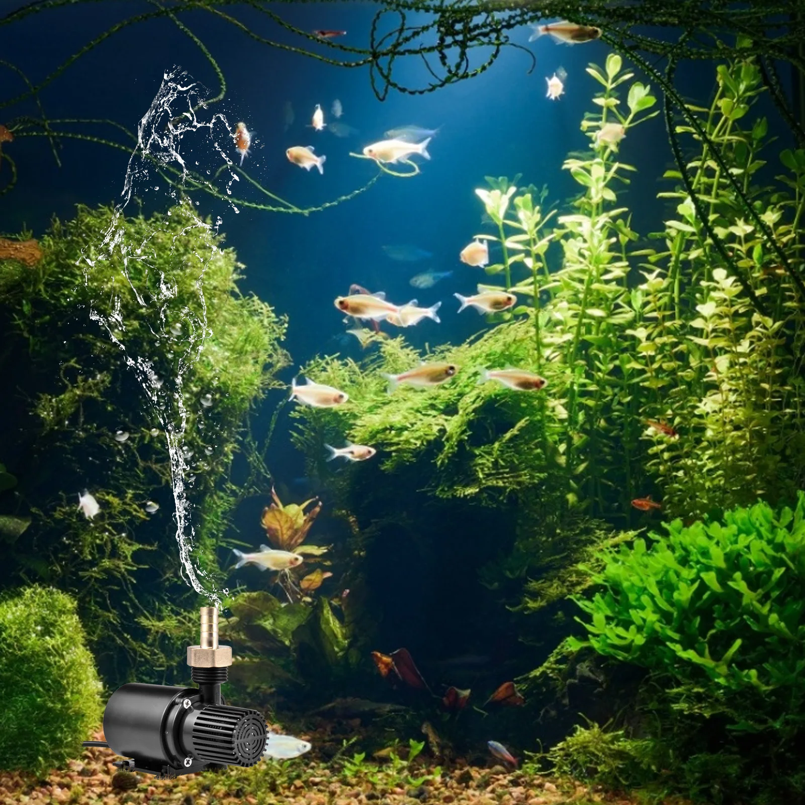DC Water Pump Micro Solar Pump Fountain Water Pump Speed Control For Water Heating Circulation In Pond Aquariums Fish Tanks 
DC Water Pump Micro Solar Pump Fountain Water Pump Speed Control For Water Heating Circulation In Pond Aquariums Fish Tanks