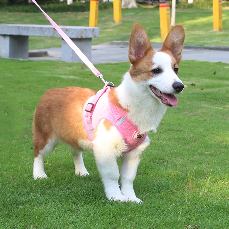 Mesh Puppy Cat Harnesses Vest Reflective Dog Harness and Leash Set for Chihuahua Pug Small Medium Walking Lead Leash
Mesh Puppy Cat Harnesses Vest Reflective Dog Harness and Leash Set for Chihuahua Pug Small Medium Walking Lead Leash