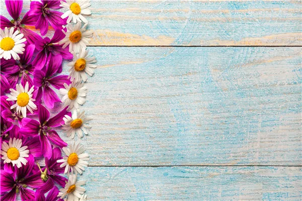 Vinyl Custom Photography Backdrops Props Flower and Wood Planks theme Photo Studio Background 20212-32
Vinyl Custom Photography Backdrops Props Flower and Wood Planks theme Photo Studio Background 20212-32