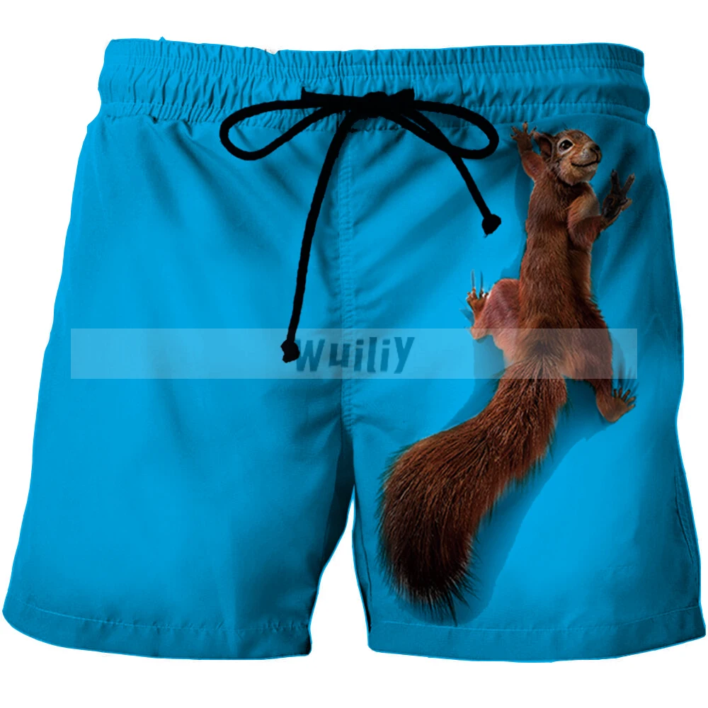 Animal Graphic Beach Shorts For Men 3D Pattern Squirrel Boardshorts Men/Women Short Pants Cute Pet Bottoms Lovely Pants
Animal Graphic Beach Shorts For Men 3D Pattern Squirrel Boardshorts Men/Women Short Pants Cute Pet Bottoms Lovely Pants