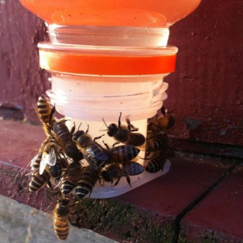 10 Pcs Bee Queen Bee Drinking Water Equipment Beekeeping Drinking Fountain Easy Installation Easy To Operate Beekeeping Tools
10 Pcs Bee Queen Bee Drinking Water Equipment Beekeeping Drinking Fountain Easy Installation Easy To Operate Beekeeping Tools