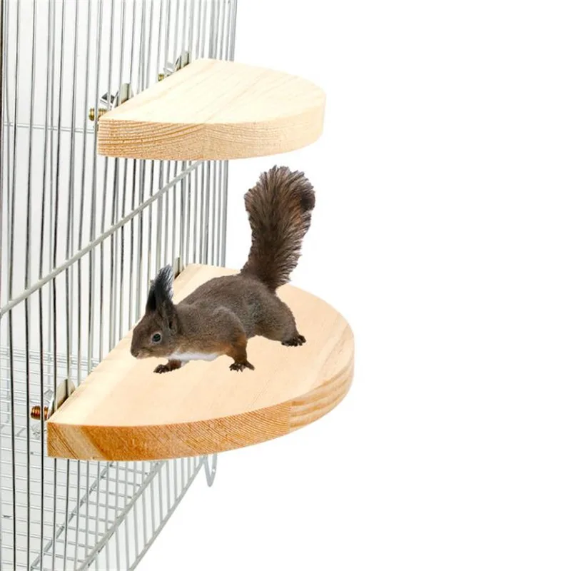 1Pc New Pet Bird Parrot Wood Platform Stand Rack Toy Hamster Branch Perches For Bird Cage Toys 2 Sizes Pet Supplies
1Pc New Pet Bird Parrot Wood Platform Stand Rack Toy Hamster Branch Perches For Bird Cage Toys 2 Sizes Pet Supplies