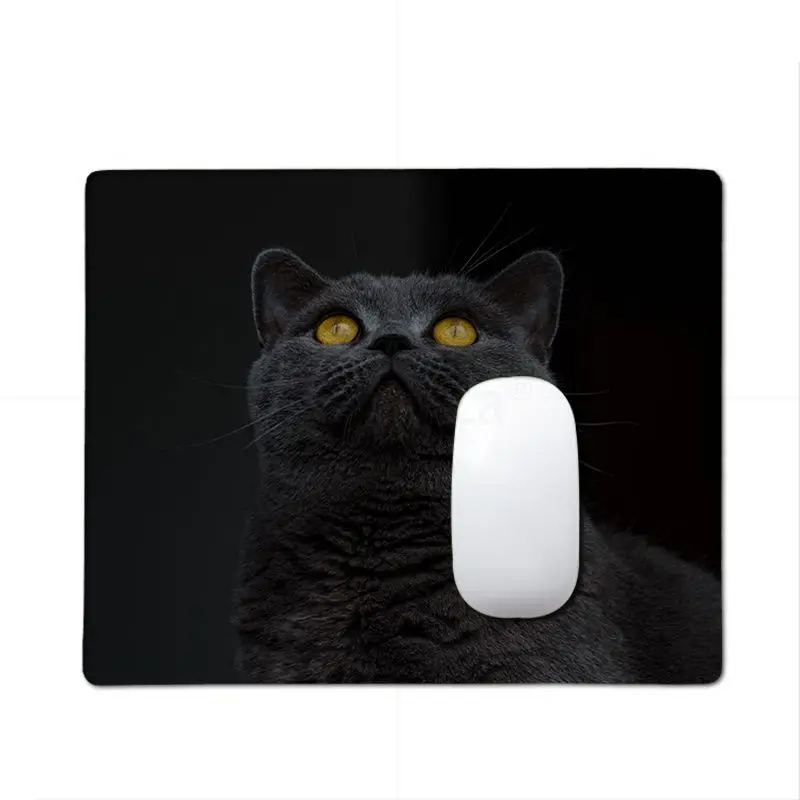 RuiCaiCa In Stocked Shorthair cat small Mouse pad PC Computer mat Smooth Writing Pad Desktops Mate gaming mouse pad
RuiCaiCa In Stocked Shorthair cat small Mouse pad PC Computer mat Smooth Writing Pad Desktops Mate gaming mouse pad