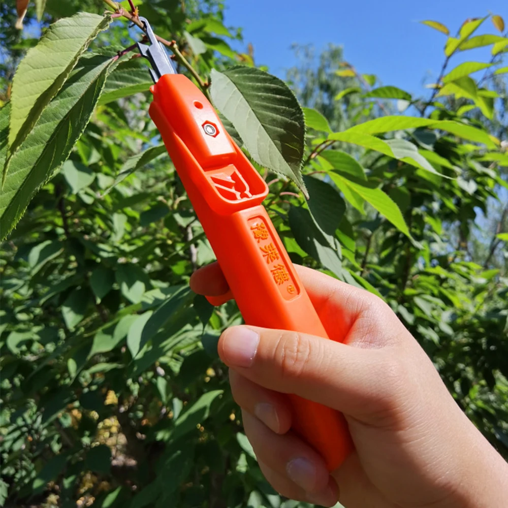 Upgraded Hand-Held Picker Farm Vegetable and Fruit Picker Pickle Tip Grape Picker For Garden Orchard Vegetable Plot Pruning Tool 
Upgraded Hand-Held Picker Farm Vegetable and Fruit Picker Pickle Tip Grape Picker For Garden Orchard Vegetable Plot Pruning Tool