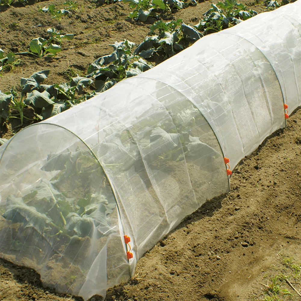 Plant Mesh Netting Large Garden Crop Plant Protection Net Anti Bird Pest Insect Animal Vegetable Care Big Mesh Nets CN
Plant Mesh Netting Large Garden Crop Plant Protection Net Anti Bird Pest Insect Animal Vegetable Care Big Mesh Nets CN