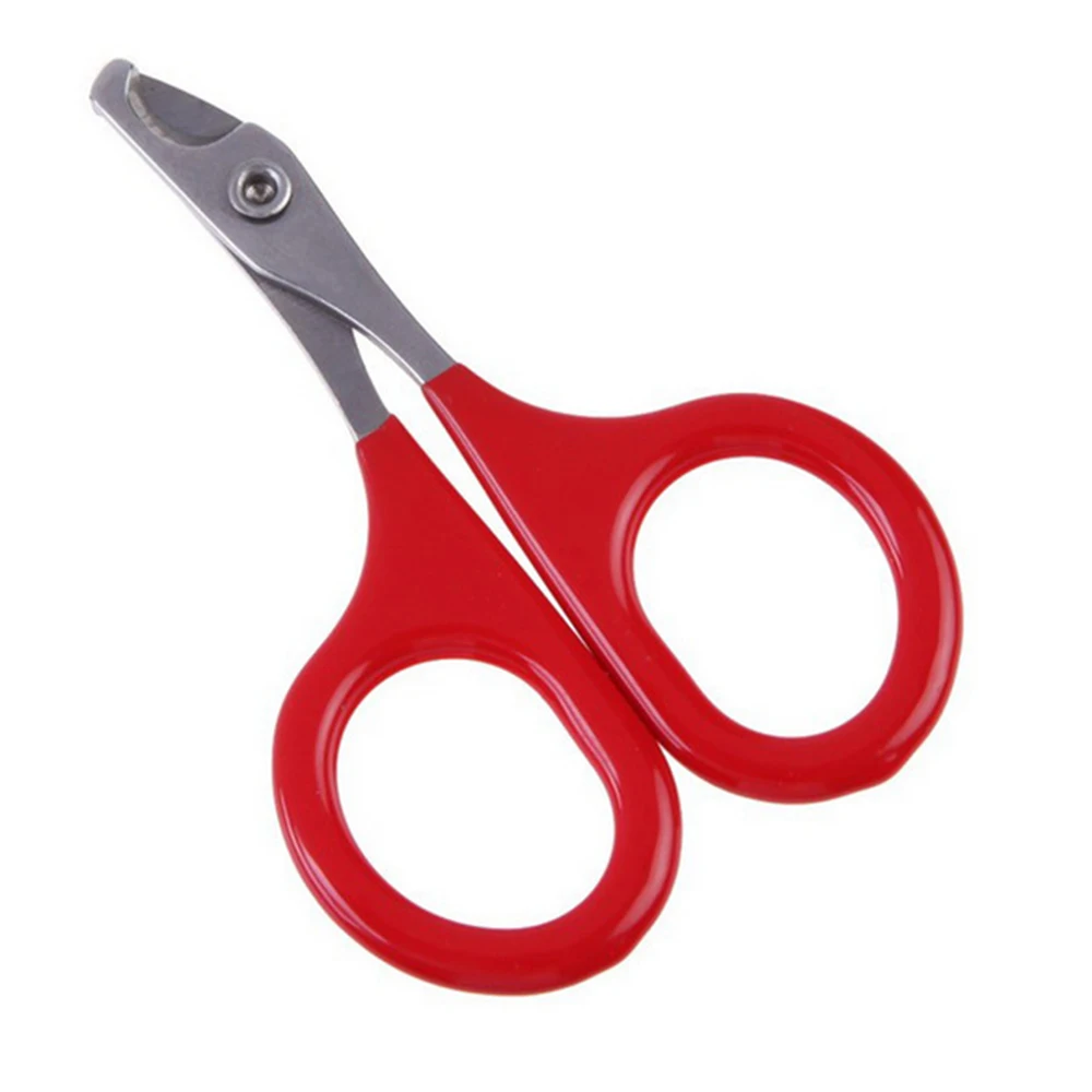 2pcs Pet Products Pet Accessories Pet Claw Care Tools Claw Clippers Dog Scissors for Nails Cat Cleaning Tools Dog Supplies
2pcs Pet Products Pet Accessories Pet Claw Care Tools Claw Clippers Dog Scissors for Nails Cat Cleaning Tools Dog Supplies