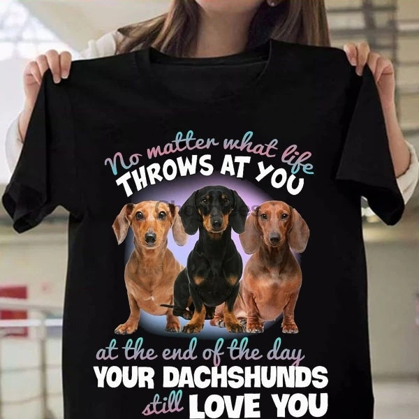 Нет матового как будто бросает на вас в конце дня ваши Dachshunds по прежнему любят