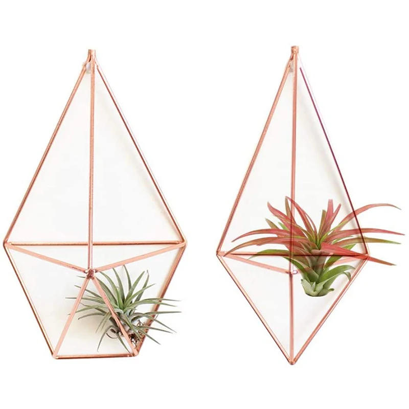 4Pack Wall Mounted Air Plants Holder Geometric Plant Holder 2 Shapes Tillandsia Rack Accent Decor Air Fern Himmeli Decor
4Pack Wall Mounted Air Plants Holder Geometric Plant Holder 2 Shapes Tillandsia Rack Accent Decor Air Fern Himmeli Decor