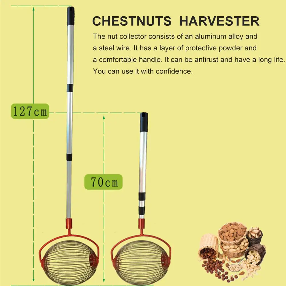 Walnuts Chestnuts Harvester Garden Nut Collector Roller Retractable Aluminum Alloy Ball Picker For Family Orchards
Walnuts Chestnuts Harvester Garden Nut Collector Roller Retractable Aluminum Alloy Ball Picker For Family Orchards