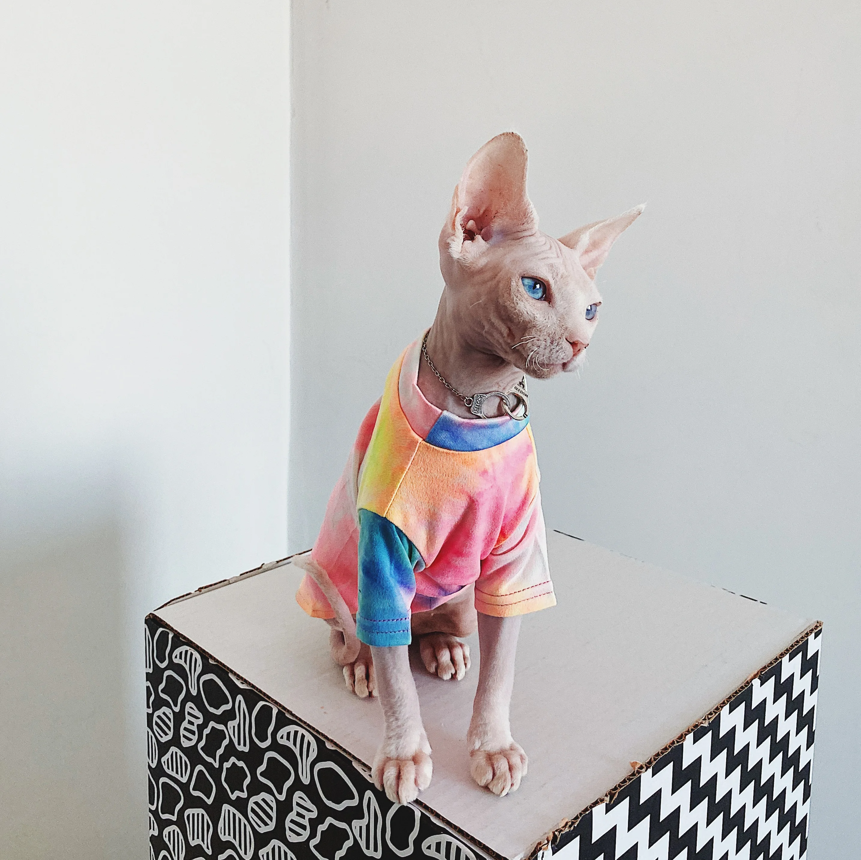 Hairless Cat Clothes Sphinx Breathable Sun-proof T-shirt Pet Clothes For Dogs Shirt 
Hairless Cat Clothes Sphinx Breathable Sun-proof T-shirt Pet Clothes For Dogs Shirt