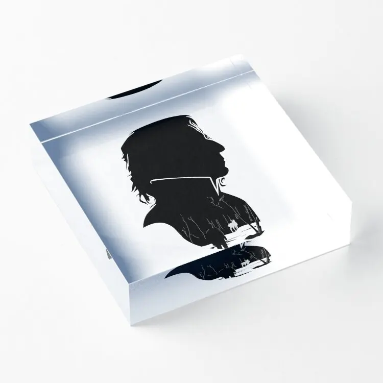 Snape акриловые блоки Декор забавная комната спальня доска фотографии прозрачный модный семейный принт прозрачный Декор для дома искусство 
Snape акриловые блоки Декор забавная комната спальня доска фотографии прозрачный модный семейный принт прозрачный Декор для дома искусство