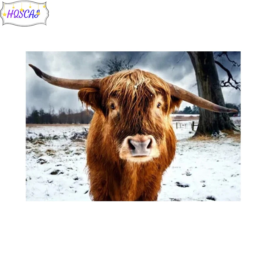 5D diy Diamond Painting Dutch Highland Cattle Full Square/ round Diamond Embroidery Picture Of Rhinestones Mosaic art Home Decor
5D diy Diamond Painting Dutch Highland Cattle Full Square/ round Diamond Embroidery Picture Of Rhinestones Mosaic art Home Decor