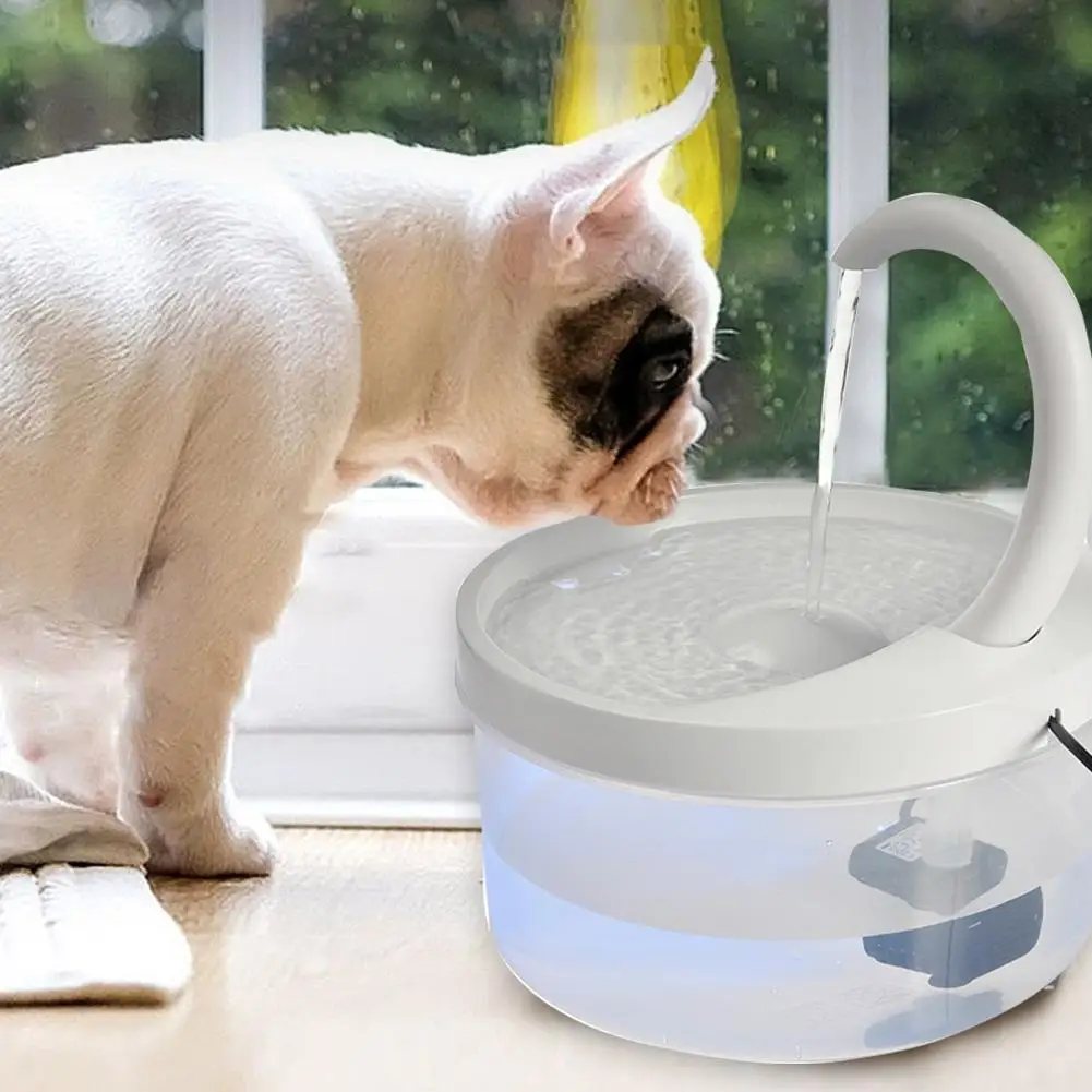 2L Cat Pet Fountain LED Blue Light USB Powered Automatic Water Dispenser Cat Feeder Drink Filter For Cats Dogs Pet Supplier
2L Cat Pet Fountain LED Blue Light USB Powered Automatic Water Dispenser Cat Feeder Drink Filter For Cats Dogs Pet Supplier