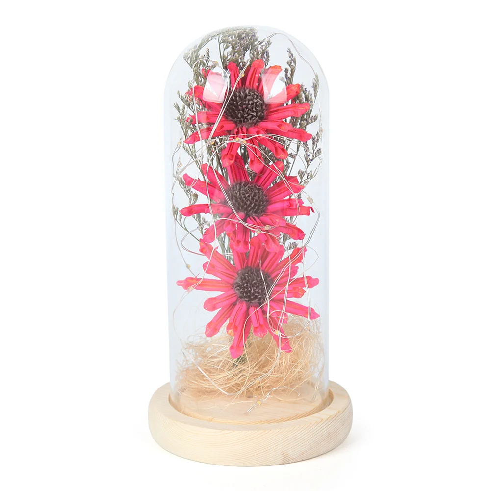 Romantic Holiday Lights Outdoor Lighting Dried Sunflower in Glass Mother Day Gift Dome Bedside Warm Night Lamp Home Decor
Romantic Holiday Lights Outdoor Lighting Dried Sunflower in Glass Mother Day Gift Dome Bedside Warm Night Lamp Home Decor
