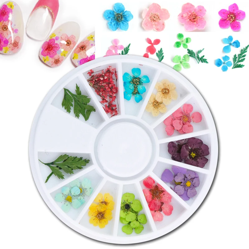 12 Types Dried Flowers Leaf Natural Floral 3D Beauty Stick Nail Art Decorations Decals Wheel for UV Gel Polish
12 Types Dried Flowers Leaf Natural Floral 3D Beauty Stick Nail Art Decorations Decals Wheel for UV Gel Polish