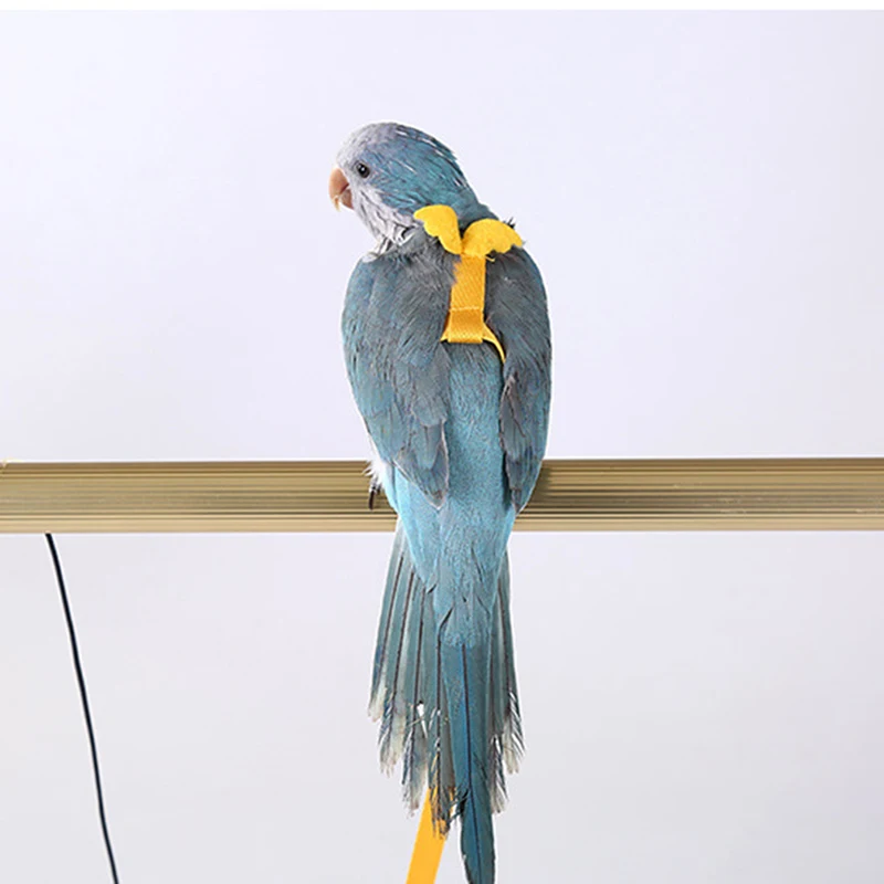 Pet Parrot Bird Traction Rope Outdoor Training Pet Bird Flying Rope Traction Rope Pet Supplies
Pet Parrot Bird Traction Rope Outdoor Training Pet Bird Flying Rope Traction Rope Pet Supplies