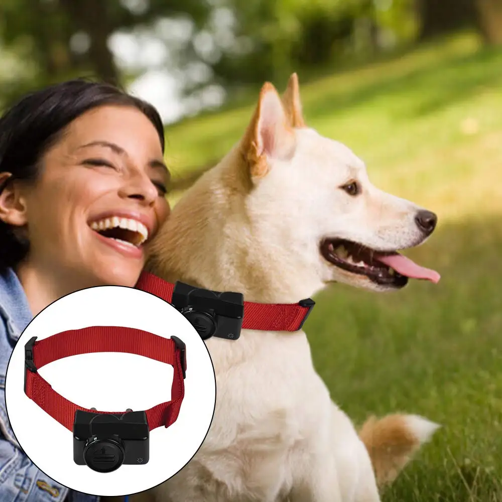 4 6 10Pcs/ Bag 6V Pet Collar Batteries Compatible with PetSafe RFA-67 6 Volt 280mAh Replacement Battery for Dog Training Control
4 6 10Pcs/ Bag 6V Pet Collar Batteries Compatible with PetSafe RFA-67 6 Volt 280mAh Replacement Battery for Dog Training Control