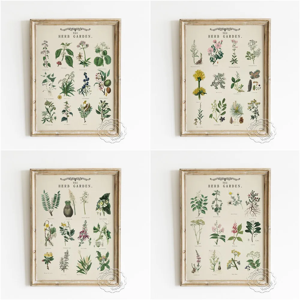 Herb Garden Vintage Art Poster, Flower Illustration Wall Picture, Botany Canvas Painting, Botanist Enthusiast Education Wall Art
Herb Garden Vintage Art Poster, Flower Illustration Wall Picture, Botany Canvas Painting, Botanist Enthusiast Education Wall Art