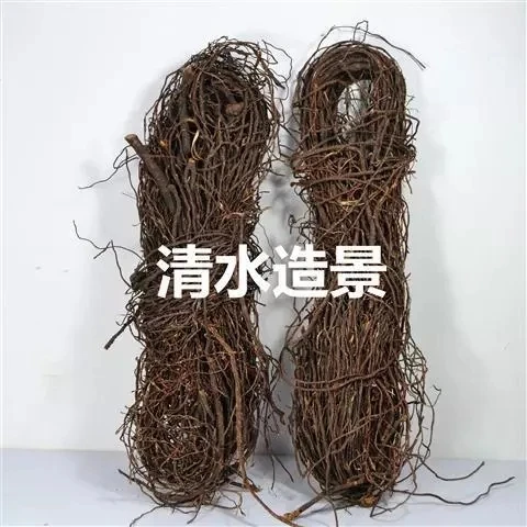 Natural Air Dried Tree Vine Old Mountain Dry Rattan Decor Aquarium Fish Tank Landscaping Decoration DIY Moss Aquatic Plants
Natural Air Dried Tree Vine Old Mountain Dry Rattan Decor Aquarium Fish Tank Landscaping Decoration DIY Moss Aquatic Plants