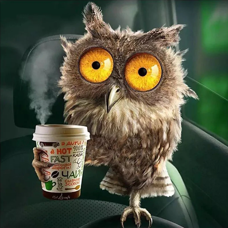 5D Diy Daimond Painting Animal Owl Drinking Coffee Full Drill Round Cross Stitch Rhinestone Mosaic Picture Embroidery Home Decor
5D Diy Daimond Painting Animal Owl Drinking Coffee Full Drill Round Cross Stitch Rhinestone Mosaic Picture Embroidery Home Decor