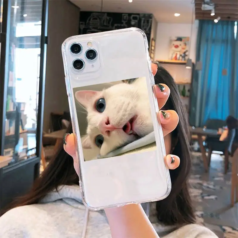 Cute animal cat design Phone Case Transparent soft For iphone 5 6 7 8 11 12 s c se plus mini x xs xr pro max cover shell funda
Cute animal cat design Phone Case Transparent soft For iphone 5 6 7 8 11 12 s c se plus mini x xs xr pro max cover shell funda