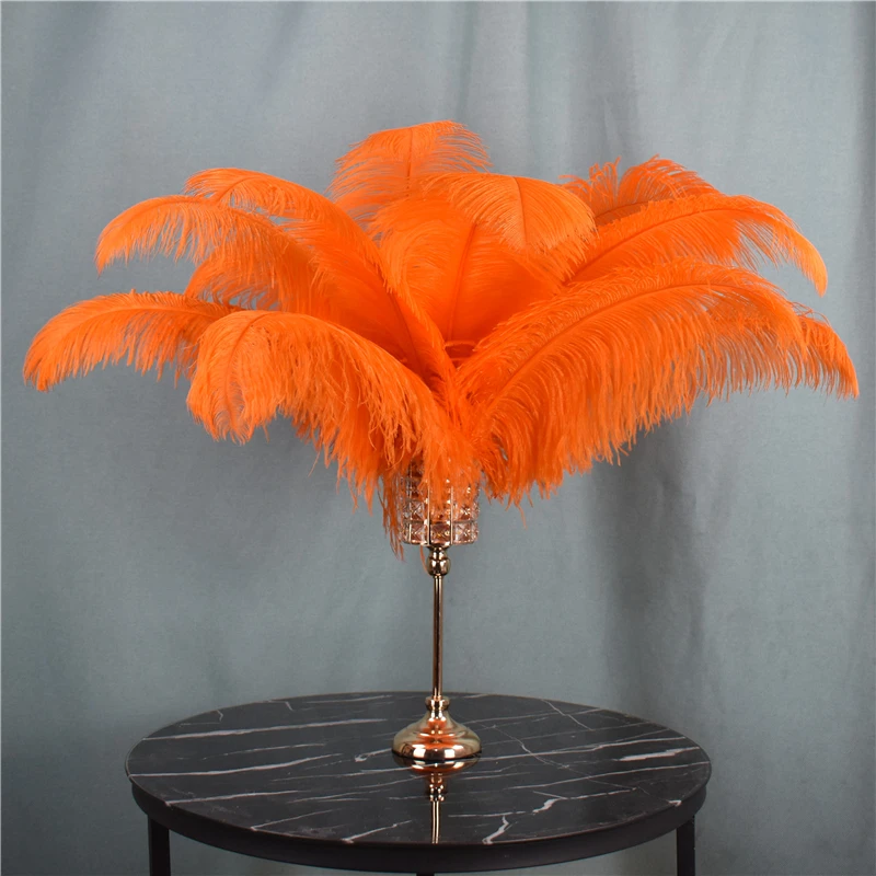 10Pcs Orange Ostrich Feather for Crafts Table Centerpieces DIY Wedding Party Decoration Carnival Accessories Large Feather Decor 
10Pcs Orange Ostrich Feather for Crafts Table Centerpieces DIY Wedding Party Decoration Carnival Accessories Large Feather Decor