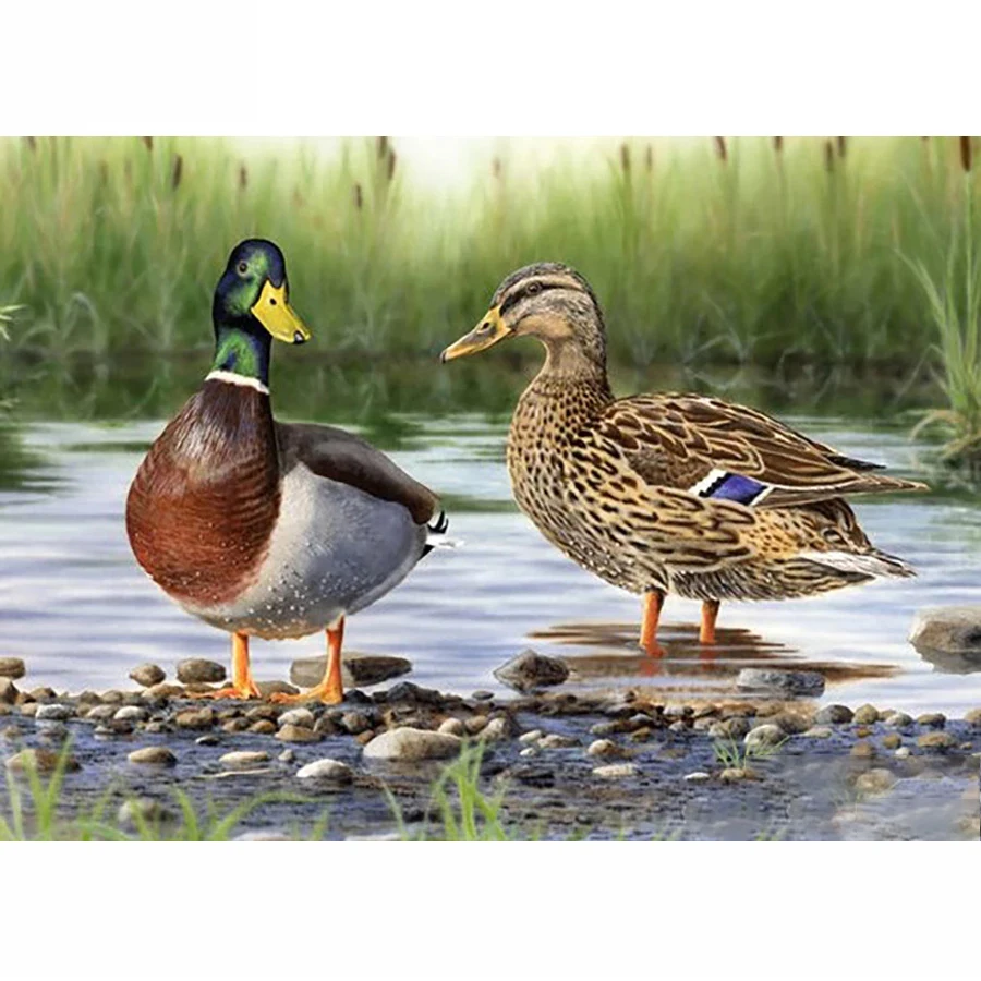 NEW Full Square/Round Drill Damond Painting 5D DIY Diamond Embroidery Wild Duck Diamond Cross Stitch Mosaic Home Decor Gift 
NEW Full Square/Round Drill Damond Painting 5D DIY Diamond Embroidery Wild Duck Diamond Cross Stitch Mosaic Home Decor Gift