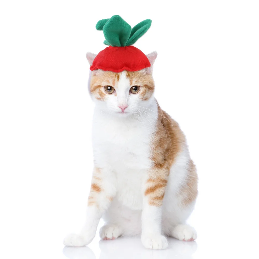 Funny Pet Dog Headgear Dog Cat Halloween Hat Dress Up Costume 2021 New Green Leaf Strawberry Headgear Funny Pet Supplies
Funny Pet Dog Headgear Dog Cat Halloween Hat Dress Up Costume 2021 New Green Leaf Strawberry Headgear Funny Pet Supplies