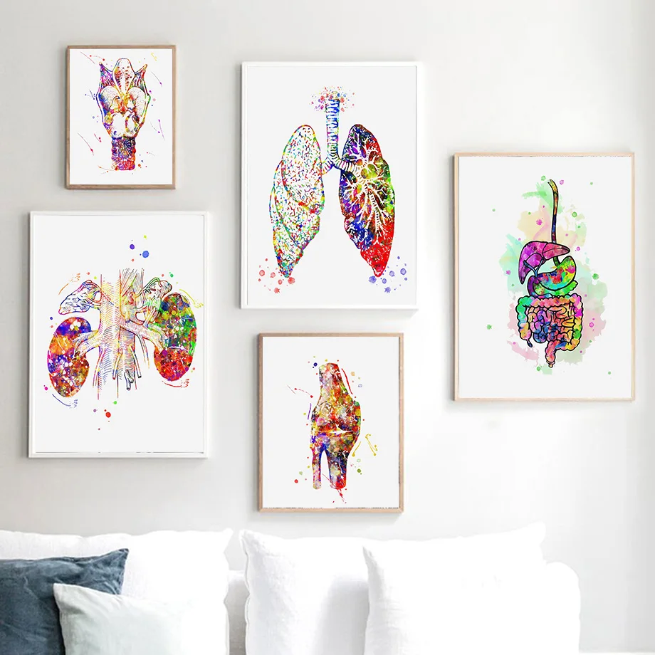 

Brain Heart Liver Lung Colourful Anatomy Hospital Wall Art Canvas Painting Posters And Prints Wall Pictures Doctor Office Decor