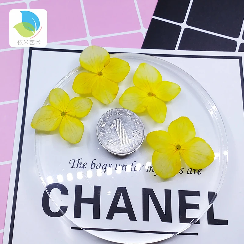 Hydrangea small Real Dried Flower Dry Plants For Candle Epoxy Resin Pendant Necklace Jewelry Making Craft DIY Accessori
Hydrangea small Real Dried Flower Dry Plants For Candle Epoxy Resin Pendant Necklace Jewelry Making Craft DIY Accessori