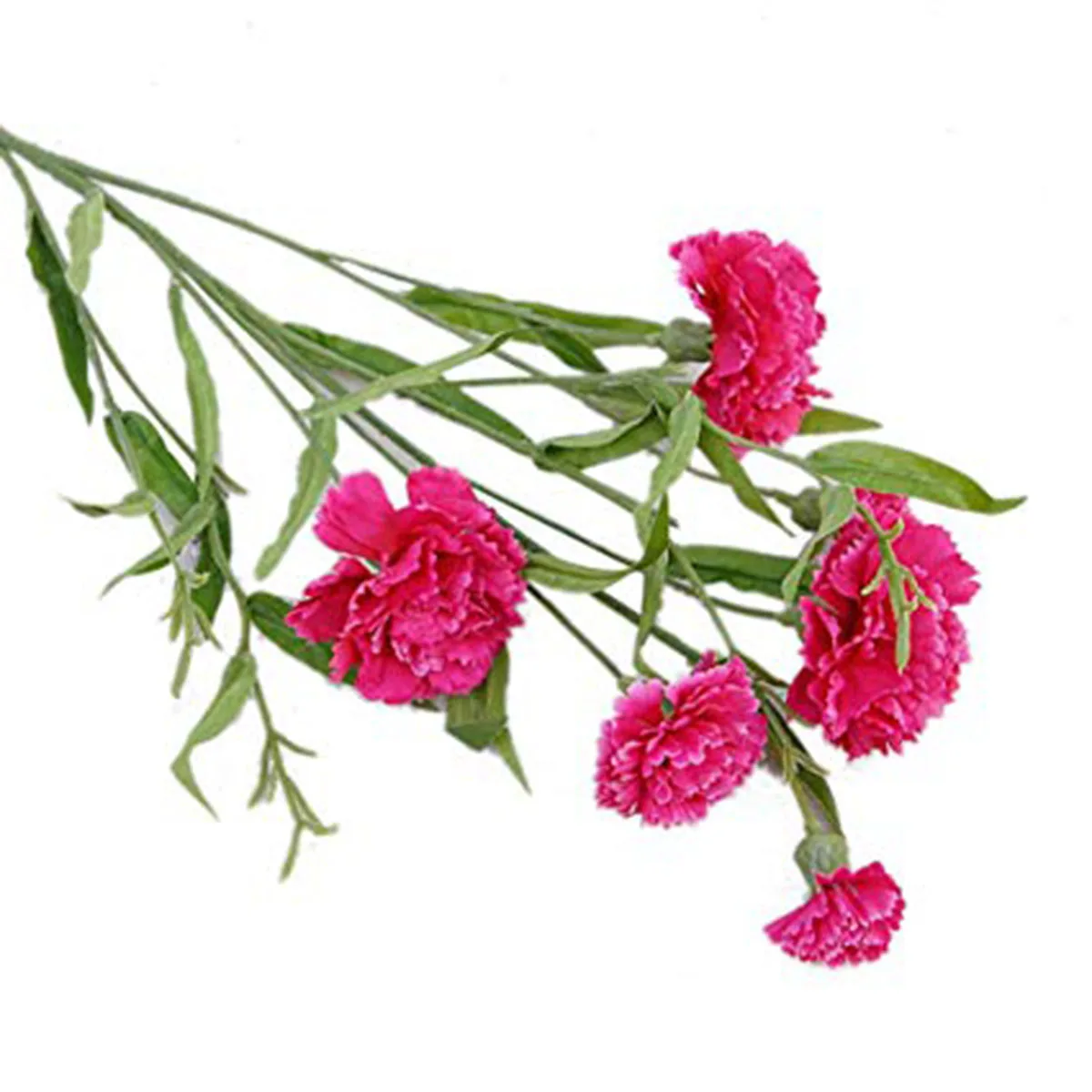 Artificial small carnation silk flower Fake Plant Artificial Plants Silk Flowers Family decoration 10 forks 6 heads 70cm
Artificial small carnation silk flower Fake Plant Artificial Plants Silk Flowers Family decoration 10 forks 6 heads 70cm