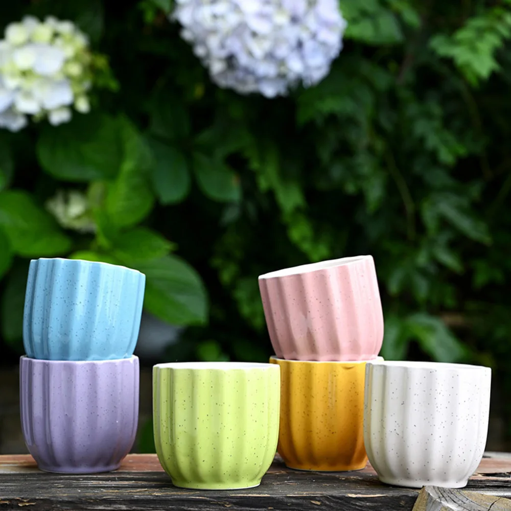 6pcs Useful Home Decorative Flowerpot Garden Succulent Plant Pot Plant Basin
6pcs Useful Home Decorative Flowerpot Garden Succulent Plant Pot Plant Basin