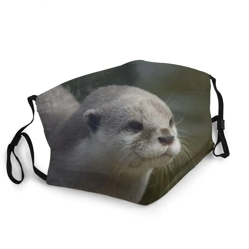 Funny Otter Mask Non-Disposable Face Mask Unisex Adult Dustproof Protection Cover Respirator Mouth-Muffle
Funny Otter Mask Non-Disposable Face Mask Unisex Adult Dustproof Protection Cover Respirator Mouth-Muffle