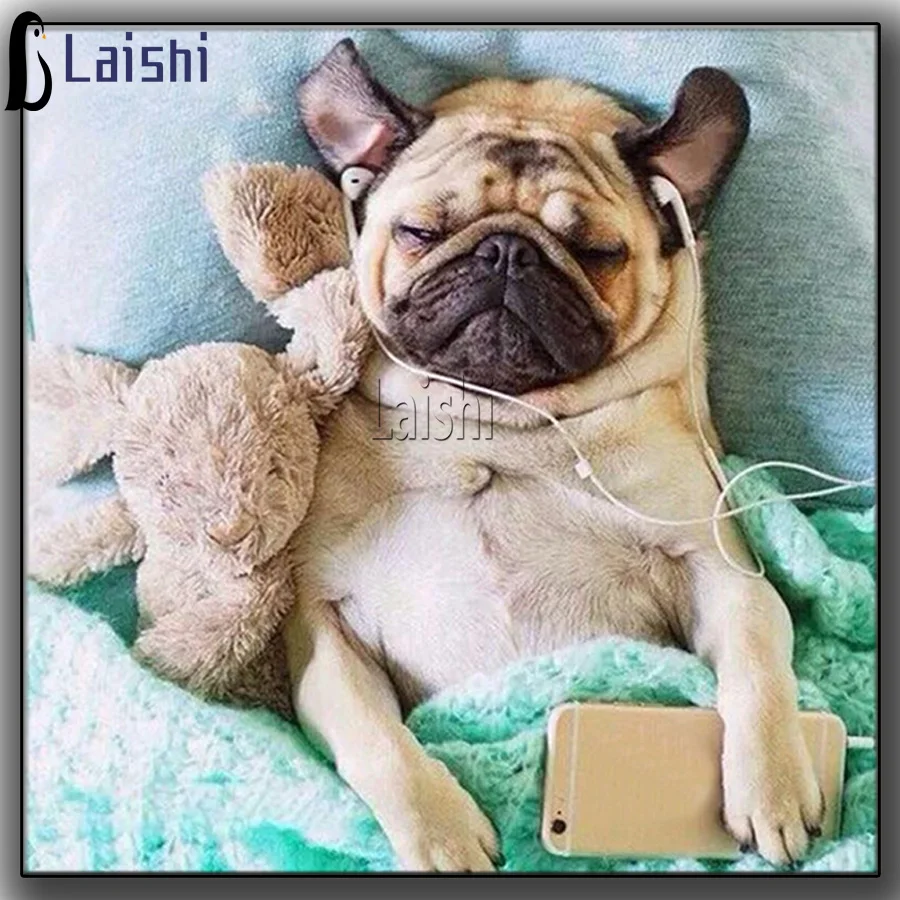 5D DIY Diamond Painting French bulldog Listening To Music Full Square Diamond Embroidery Animal Rhinestones Pictures Crafts Kit
5D DIY Diamond Painting French bulldog Listening To Music Full Square Diamond Embroidery Animal Rhinestones Pictures Crafts Kit