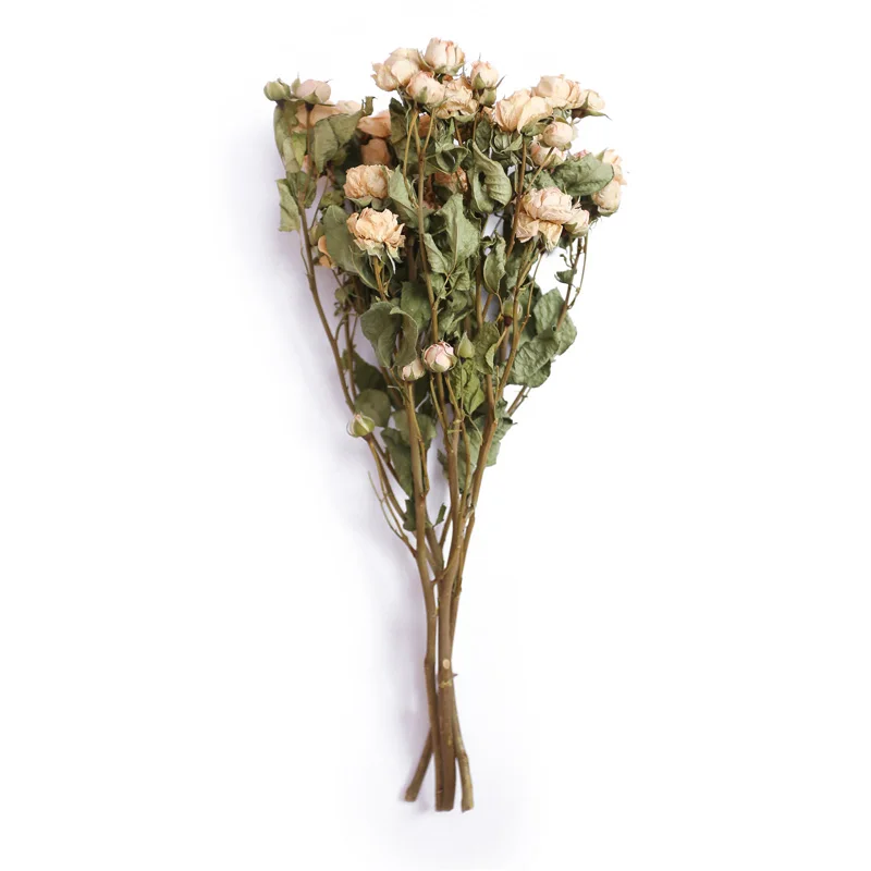 Preserved Dried Flower Real Rose Bubble Candy Corolla Pink Golden Deep Red Floral Arrangement Home Wedding Valentine's Day Decor
Preserved Dried Flower Real Rose Bubble Candy Corolla Pink Golden Deep Red Floral Arrangement Home Wedding Valentine's Day Decor