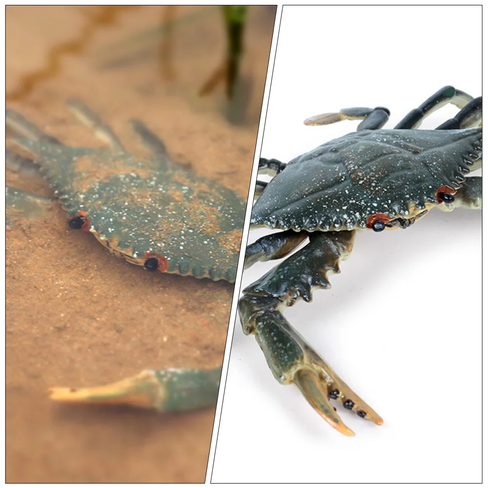 1pc Kids Artificial Crab Figures Vivid Educational Crab Model
1pc Kids Artificial Crab Figures Vivid Educational Crab Model