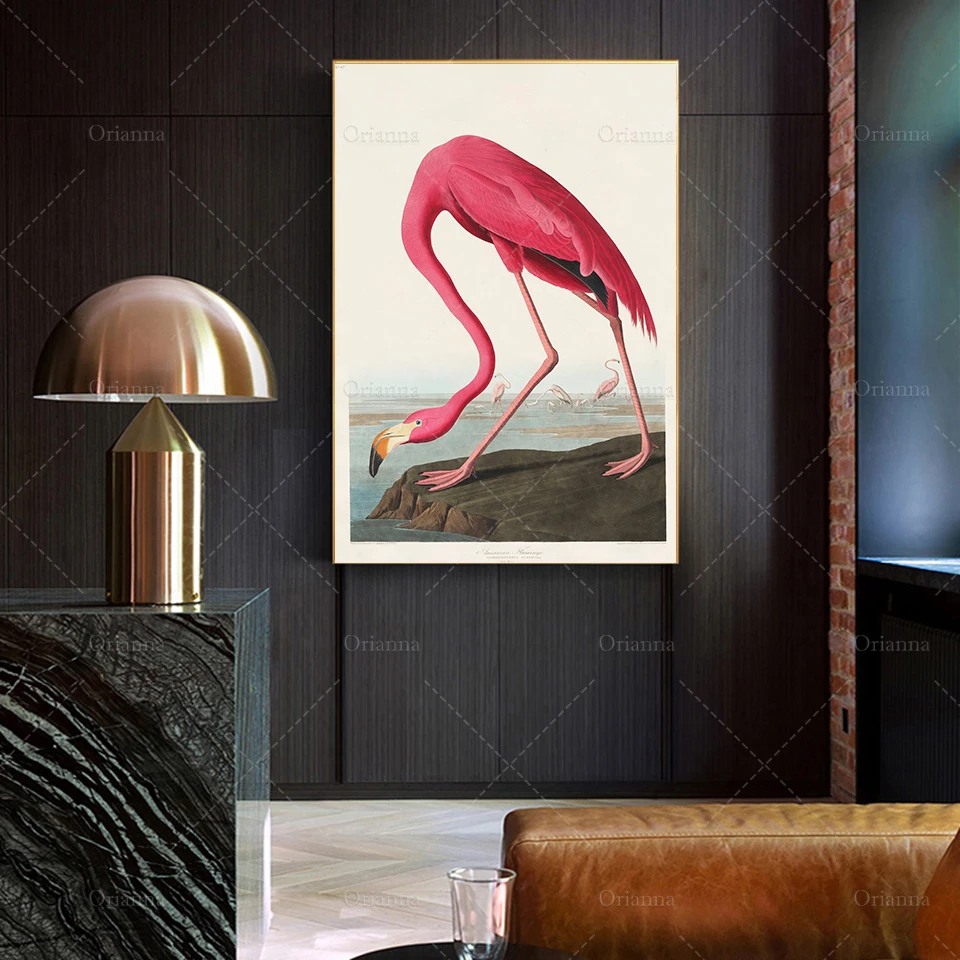 John James Audubon Birds, American Pink Flamingo PosterPrint Pink FlamingoModern Art Gift Idea- Wall art poster printHome Decor
John James Audubon Birds, American Pink Flamingo PosterPrint Pink FlamingoModern Art Gift Idea- Wall art poster printHome Decor