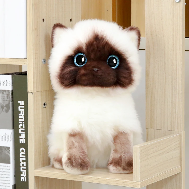 20/26CM Simulation Siamese Cat Plush Toy Blue Sequins Eyes Dolls Brown and White Face Ragdoll Cats Home Decor Cute Gift for Baby
20/26CM Simulation Siamese Cat Plush Toy Blue Sequins Eyes Dolls Brown and White Face Ragdoll Cats Home Decor Cute Gift for Baby