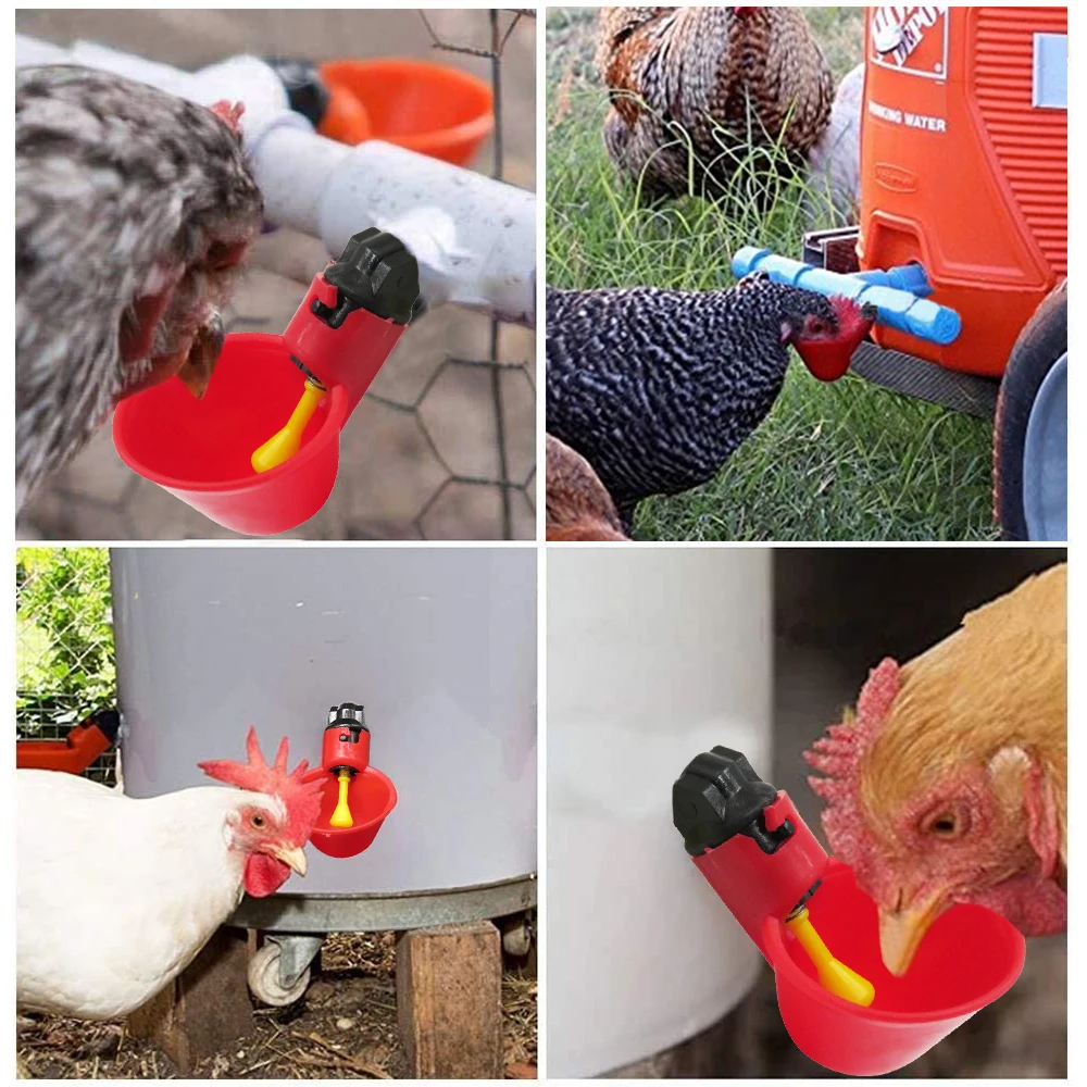 10-20PCS Automatic Chicken Drinker Quail Hanging Water Cup Nipple Drinking Bowls Feed Bird Coop Drinker Cup for Backyard Poultry
10-20PCS Automatic Chicken Drinker Quail Hanging Water Cup Nipple Drinking Bowls Feed Bird Coop Drinker Cup for Backyard Poultry